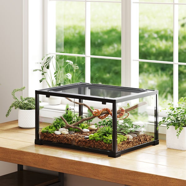 Glasterrarium mit schwarzem Rahmen auf einem Holztisch in einem hellen Raum. Innen eine Schlange auf einem Ast zwischen Pflanzen, Moos und Steinen.
