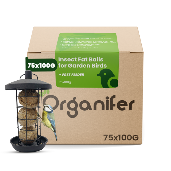 Organifer Insekten-Meisenknödel für Gartenvögel, 75 mal 100 Gramm Packung, inklusive schwarzer Futterstation mit einer Blaumeise.