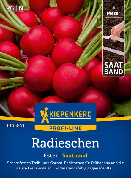 Saatband Radieschen Ester von Kiepenkerl für den Anbau im Treibhaus und Freiland fünf Meter lang