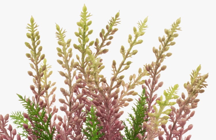 Dunkelgrauer Blumentopf aus Kunststoff mit einer grünen Kunstpflanze.