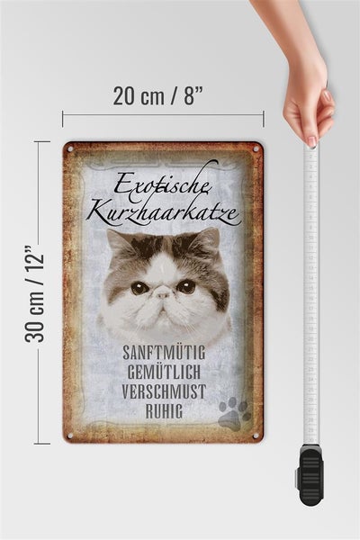 Blechschild Spruch 20x30cm exotische Kurzhaarkatze Katze