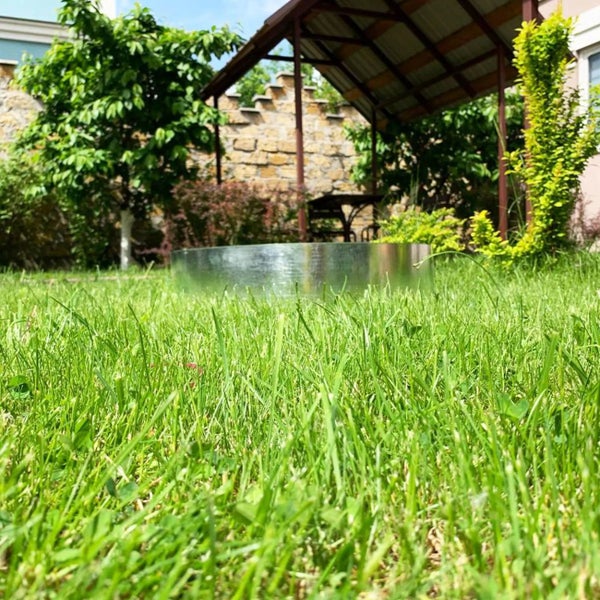 Szene mit einer Feuerstelle im Gartenbereich