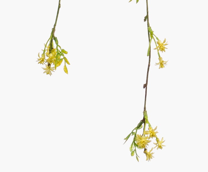 Künstlicher Zweig mit gelben sternförmigen Blüten und grünen Blättern.