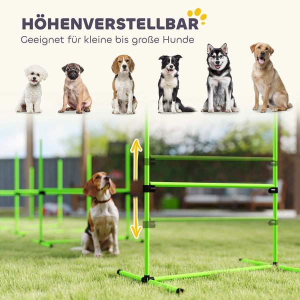 Höhenverstellbare Agility-Hürde für Hunde auf einer Rasenfläche, geeignet für kleine bis große Hunderassen, helle und organisierte Darstellung.