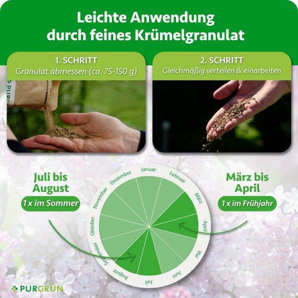 Infografik zur Anwendung von Purgrün Granulat mit Dosierungsanleitung und Kalender für die Düngung im Frühjahr und Sommer.