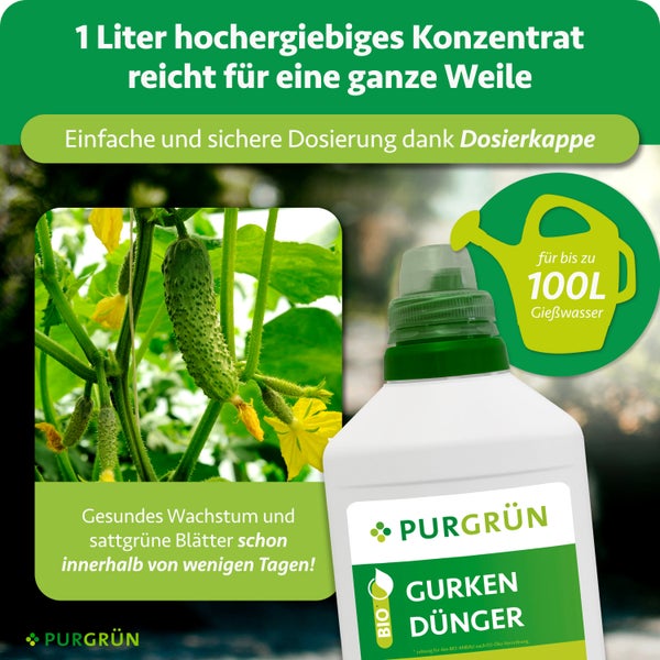 Purgrün Bio Gurkendünger Konzentrat 1 Liter für 100 Liter Gießwasser, fördert Wachstum und grüne Blätter, mit Dosierkappe.