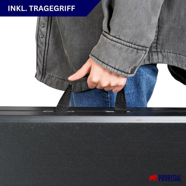 Proregal Transportbox mit Tragegriff