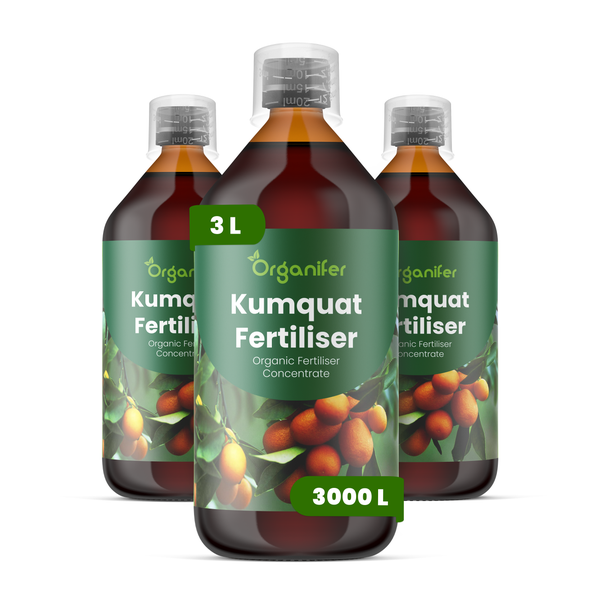 Drei Flaschen Organifer Kumquat-Dünger, organisches Konzentrat, insgesamt 3 Liter für bis zu 3000 Liter fertigen Dünger.