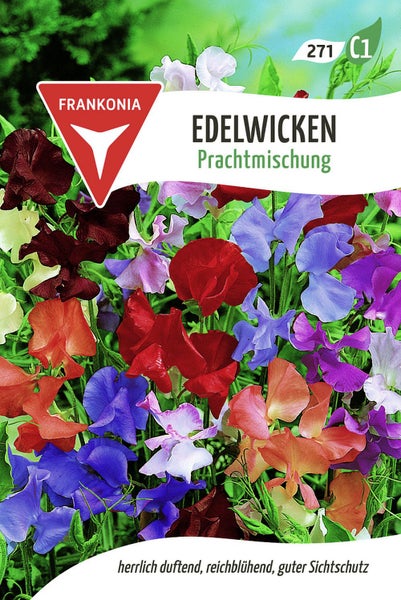 Edelwicken Prachtmischung Samenpackung