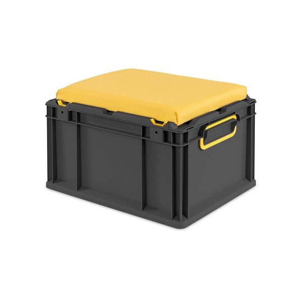 Graue Eurobox mit gelbem Sitzkissen