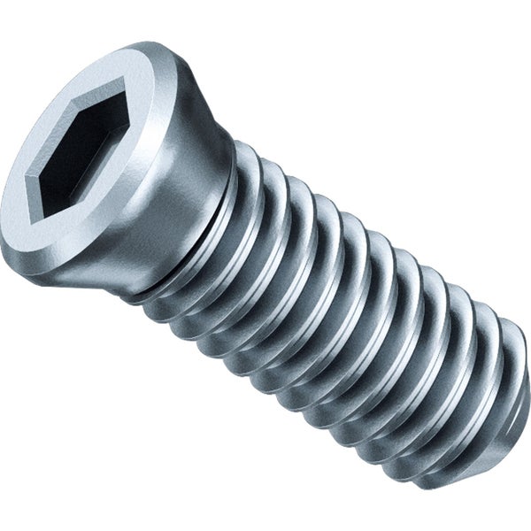 Metallschraube mit Innensechskant