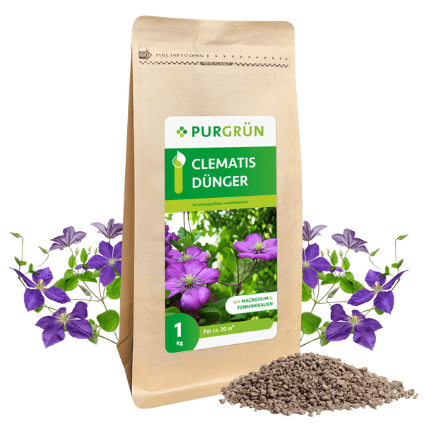 Purgrün Clematis-Dünger 1 kg