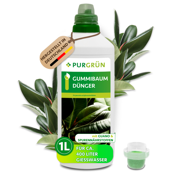 Eine Flasche Purgrün Gummibaum Dünger mit Guano und Spurennährstoffen für vierhundert Liter Gießwasser, inklusive Messbecher.