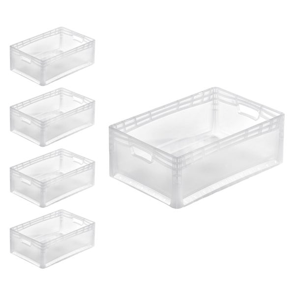 PROREGAL SuperSparSet 5x Transparenter Eurobehälter LightLine mit Offenem Griff und Scharnierdeckel HxBxT22 x 40 x 60 cm 46 Liter Eurobox
