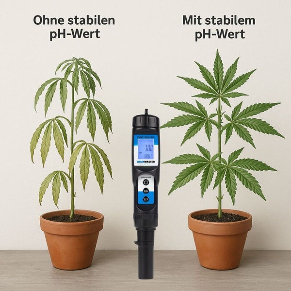 Illustration eines pH-Messgerätes mit zwei Pflanzen, die unterschiedliche pH-Werte darstellen.