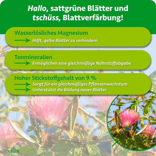 Infografik mit Wirkungsweise des Purgruen Pflanzenduengers mit Magnesium Tonmineralien und Stickstoff fuer gesundes Pflanzenwachstum.