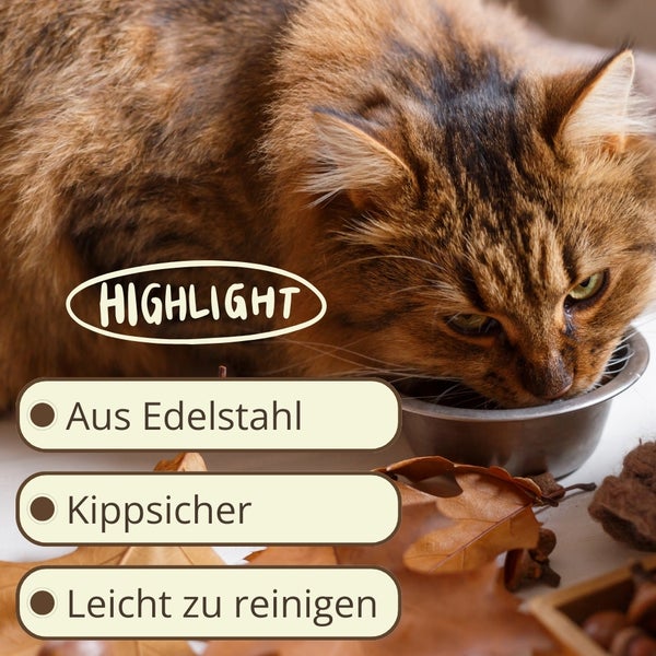 Katze frisst aus einem Edelstahlnapf