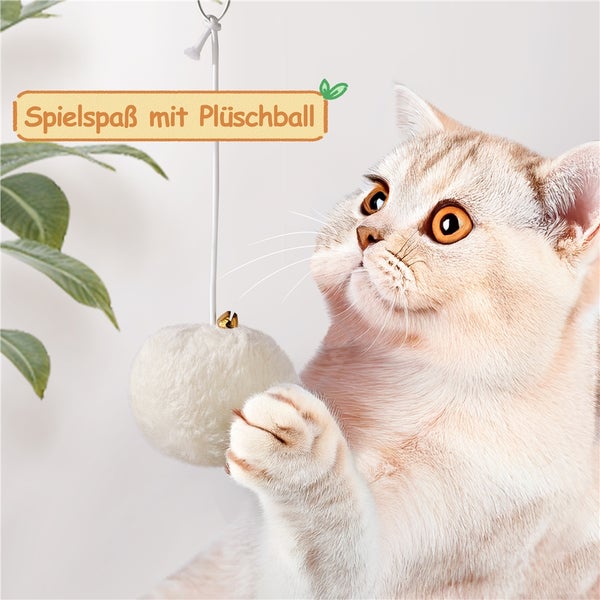 Katze spielt mit Plüschball