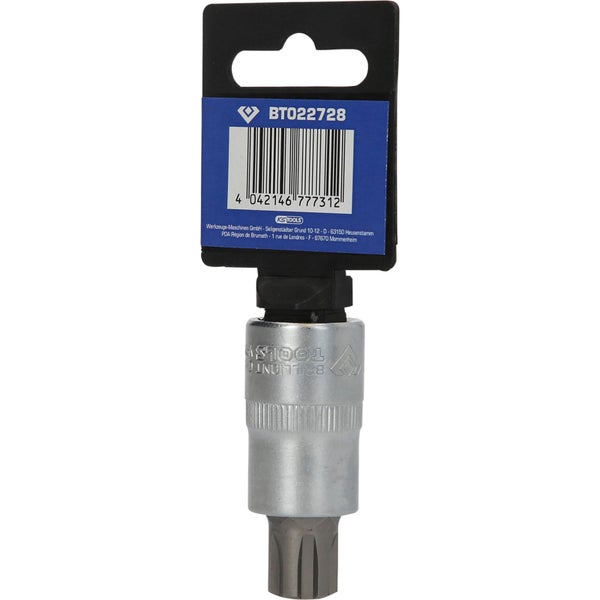 Torx-Einsatz Werkzeug