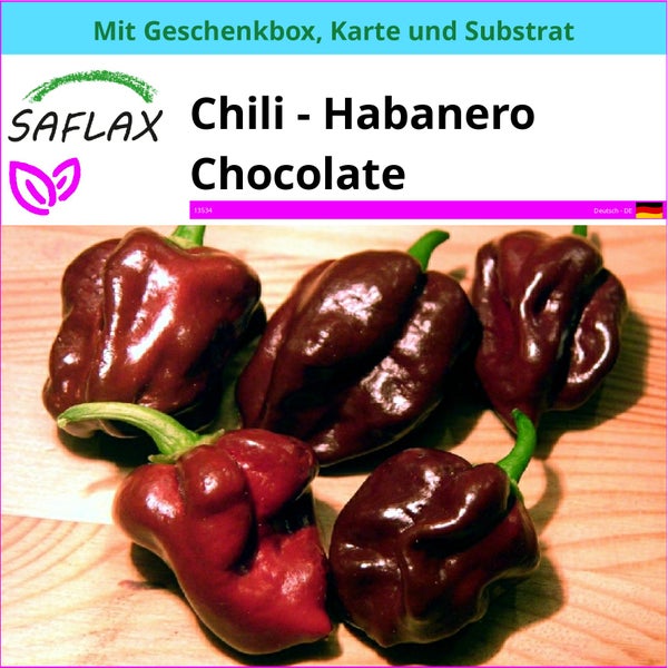 SAFLAX Geschenk Set - Chili - Habanero Chocolate - Capsicum chinense - 10 Samen - Mit Geschenkbox, Versandaufkleber, Geschenkkarte und Anzuchtsubstrat