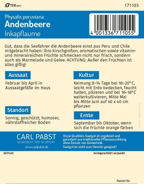 Rückseite der Samentüte für Andenbeere Physalis peruviana mit Details zu Aussaat, Standort, Pflege und Ernte sowie Carl Pabst Logo.