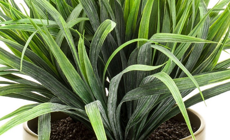 Künstliche Gummibaum-Pflanze mit großen grünen Blättern aus Kunststoff.