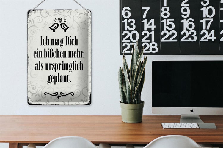 Blechschild Spruch 20x30cm ich mag dich ein bißchen mehr
