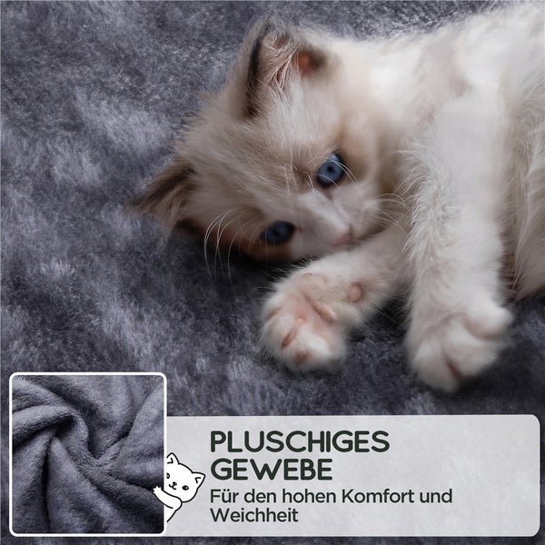 Kätzchen liegt auf weichem Plüschstoff