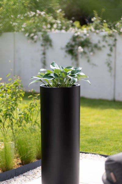 Hohes, schwarzes, zylindrisches Pflanzgefäß mit einer grünen Pflanze in einem hellen Garten vor einer weißen Mauer.