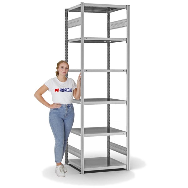 PROREGAL Fachbodenregal Stecksystem T-Profil Light-Duty Grundregal HxBxT 250 x 75 x 60 cm 6 Ebenen Fachlast 140 kg Beidseitig Nutzbar Verzinkt