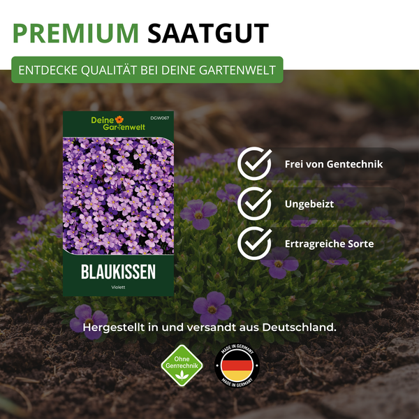 Blaukissen Violett Samen von Deine Gartenwelt, gentechnikfrei, ungebeizt und ertragreiche Sorte, hergestellt in Deutschland.