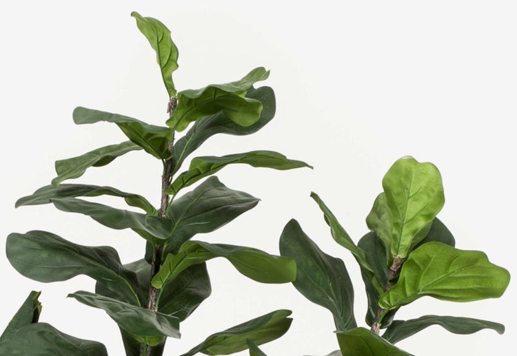 Kunstpflanze Geigenfeige Ficus Lyrata mit großen grünen Blättern und strukturiertem Stamm.