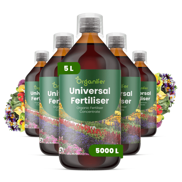 Fünf Flaschen Organifer Universal-Dünger, organisches Düngerkonzentrat, 5 Liter, ausreichend für 5000 Liter.