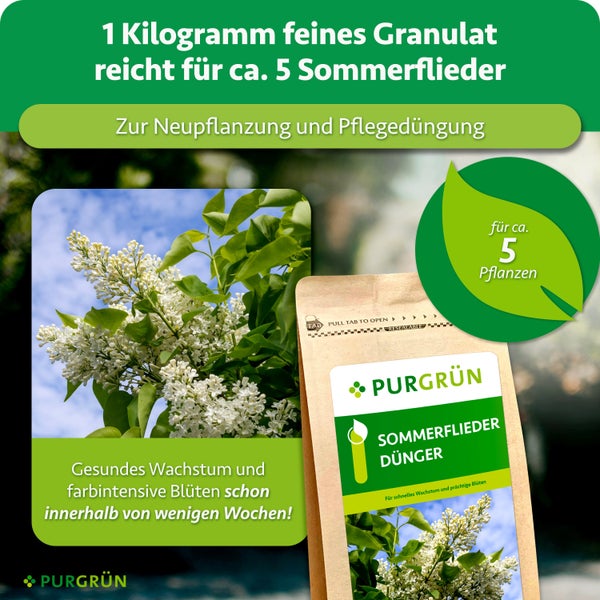 PURGRÜN Sommerflieder Dünger in 1 Kilogramm Packung als Granulat für Neupflanzung und Pflegedüngung von zirka 5 Pflanzen.