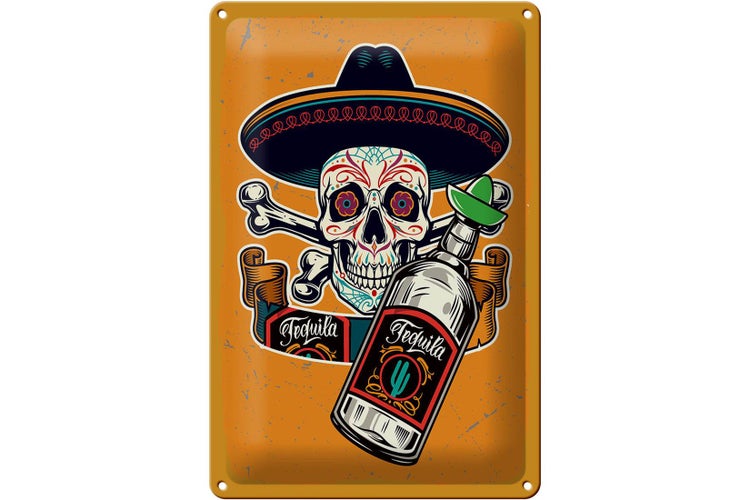 Blechschild Spruch Totenkopf Tequila 20x30cm