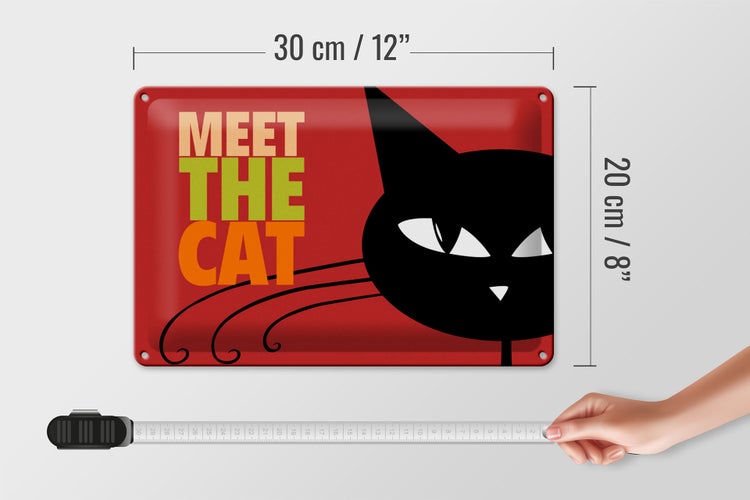 Blechschild Spruch 30x20cm Katze Meet the cat