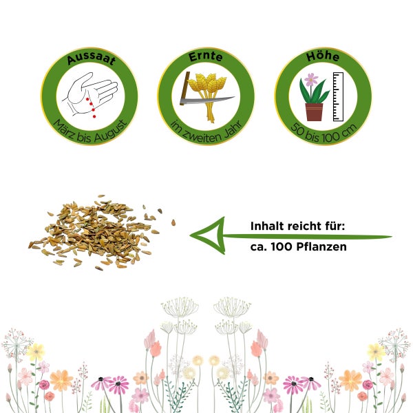 Baldrian Samen von Deine Gartenwelt