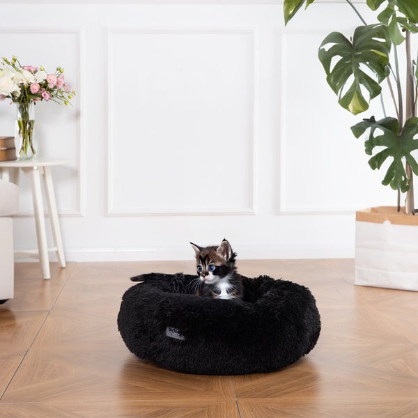 Home Deluxe - Haustierbett MUFFIN - Maße: 80 x 80 x 17 cm, Farbe: Schwarz, inkl. Tierdecke, Baumwollfüllung, waschbarer Bezug, Rutsch- & Wasserfest I Hundebett Hundekissen Bett für Katzen