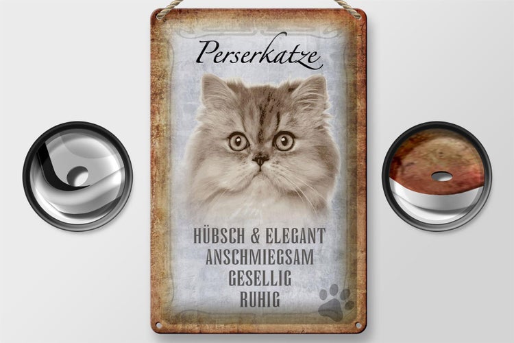 Blechschild Spruch 20x30cm Perserkatze Katze hübsch