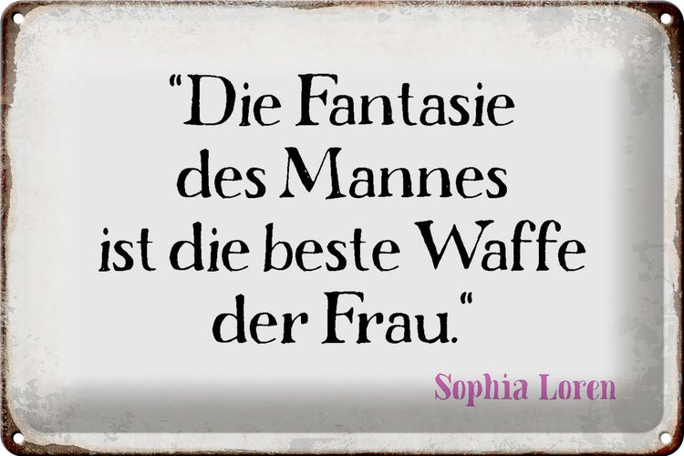 Blechschild Spruch 30x20cm Fantasie des Mannes beste Waffe