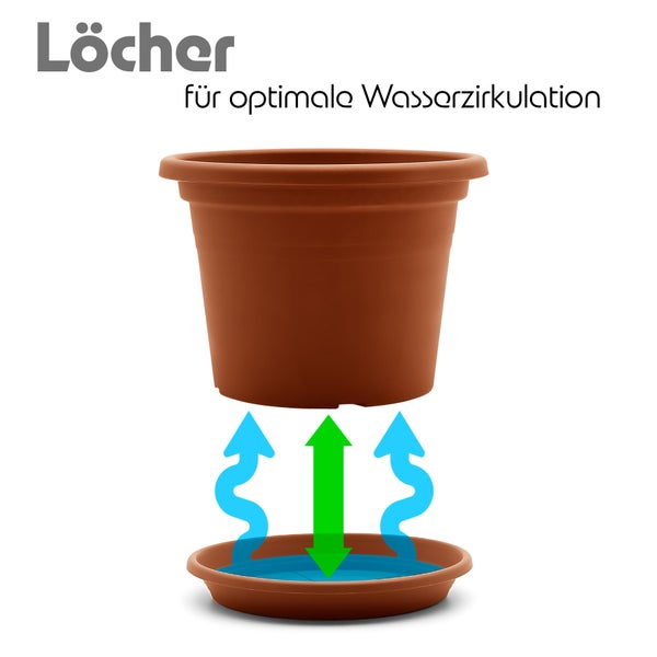 Kunststoff Blumentopf mit Untersetzer und Bodenlöchern für optimale Wasserzirkulation.