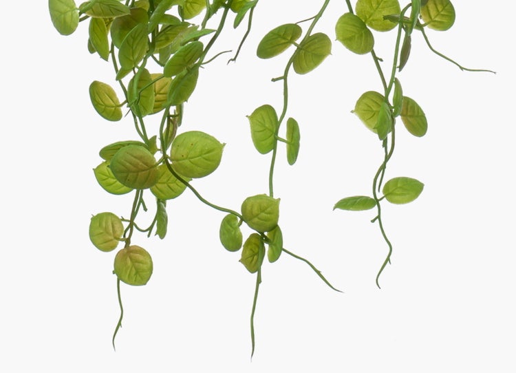 Künstliche Hängepflanze mit kleinen, ovalen Blättern an herabhängenden Ranken.