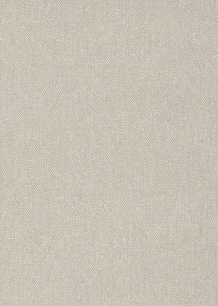 Eimer Fassadenfarbe mit geöffnetem Deckel