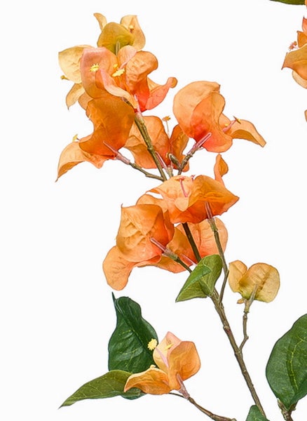 Künstlicher Bougainvillea-Zweig mit grünen Blättern und lachsfarbenen Blüten.