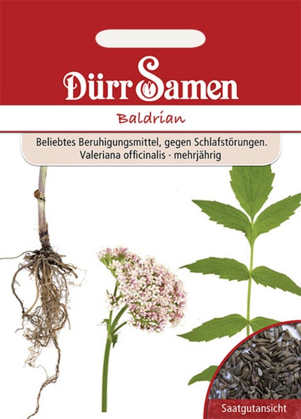 Dürr Samen Baldrian Valeriana officinalis, Samentüte mit Abbildungen von Wurzel, Blüte, Blatt und Saatgutansicht.