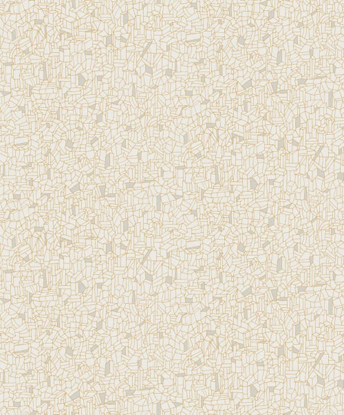 Schwarze Lagerbox aus Kunststoff, 65 Liter Fassungsvermögen, Abmessungen 60 x 40 x 32 cm