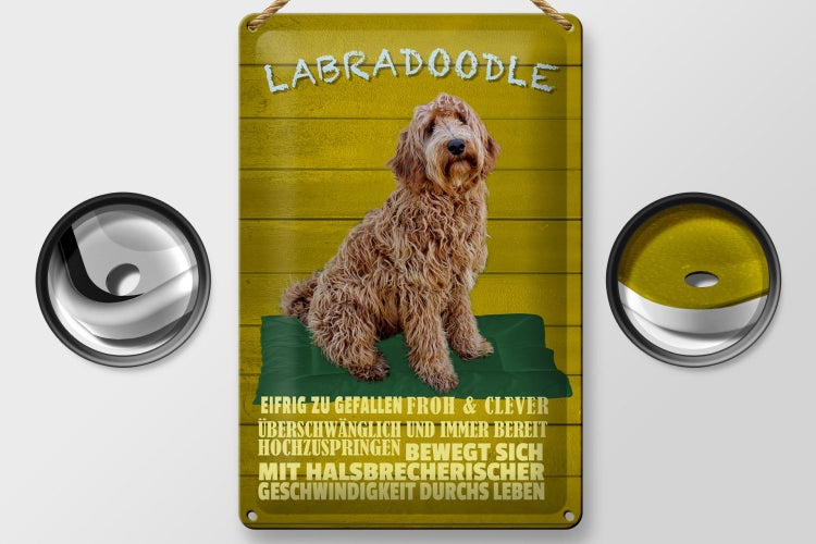 Blechschild Spruch 20x30cm Labradoodle Hund froh und clever