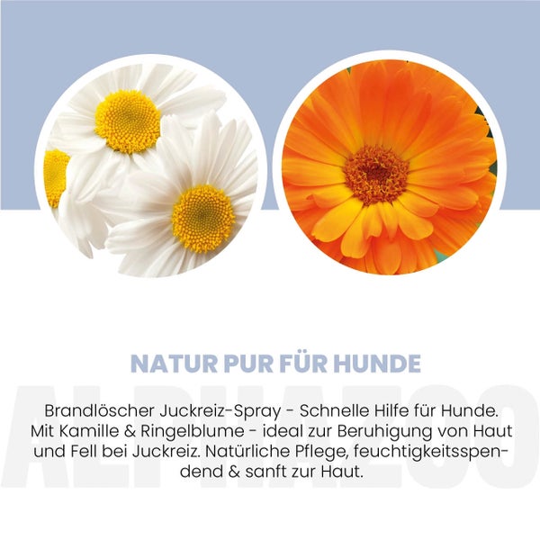 alphazoo Brandlöscher Anti Juckreiz Spray für Hunde 250ml