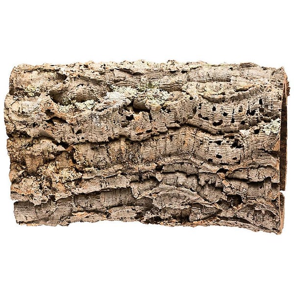 Korkrinde für Terrarien, naturbelassene Korkröhre als Dekoration und Versteck für Reptilien.
