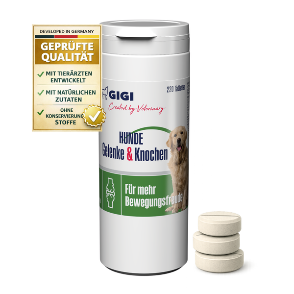 Dose GIGI Nahrungsergänzung für Hunde Gelenke und Knochen, 220 Tabletten, natürliche Inhaltsstoffe, ohne Konservierungsstoffe.